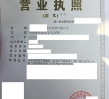 高清圖片與內(nèi)資公司注冊(cè) 流程、材料與注意事項(xiàng)詳解